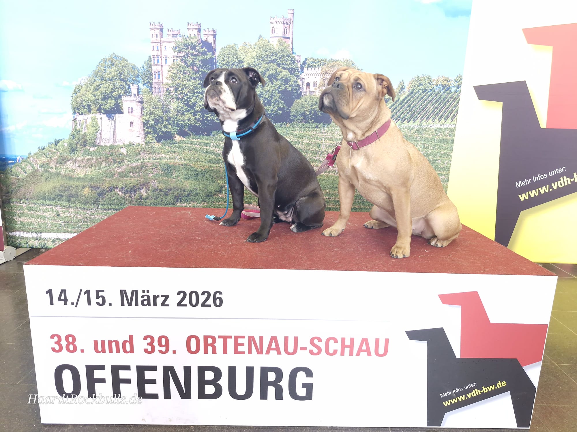 38. und 39. Ortenau-Schau in Offenburg erfolgreich besucht!