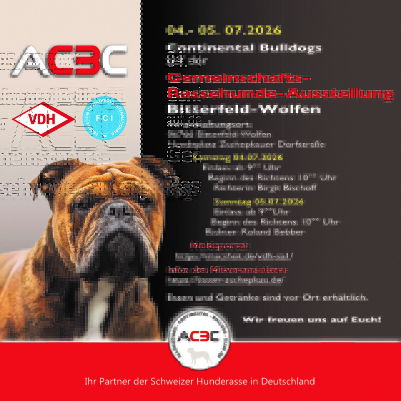 Neuer Termin - Bitterfeld-Wolfen