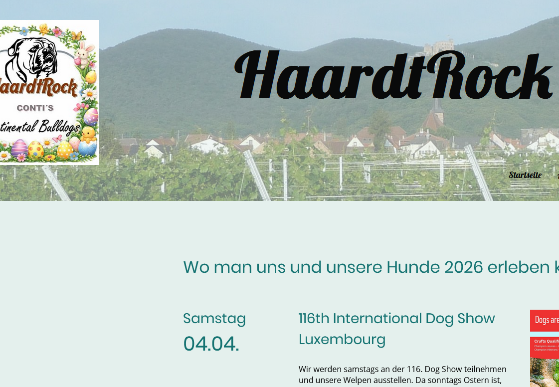 Neuer Bereich erstellt