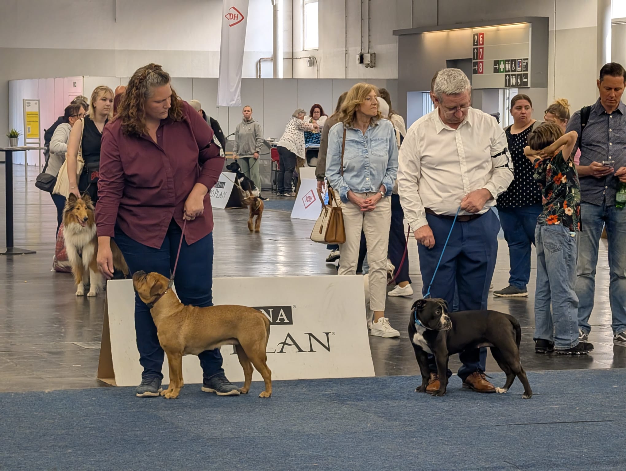 DOGS & FUN 2026 in Dortmund