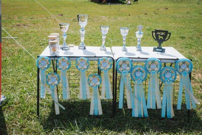 ACBC Bodensee Cup 2026